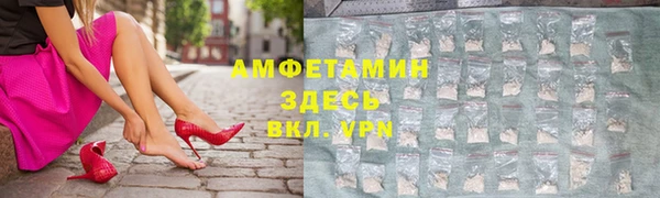 хмурый Верея