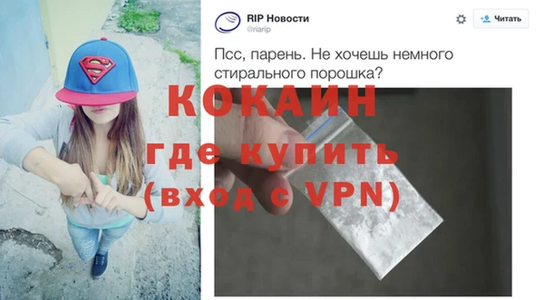 хмурый Верея