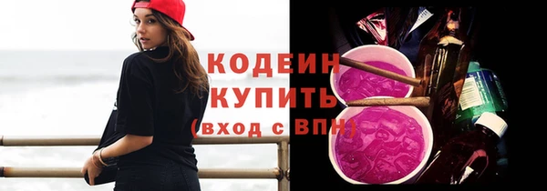 хмурый Верея