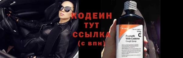 хмурый Верея
