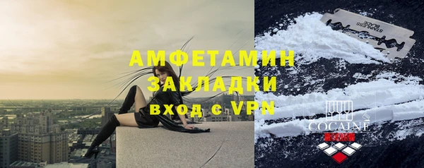 хмурый Верея